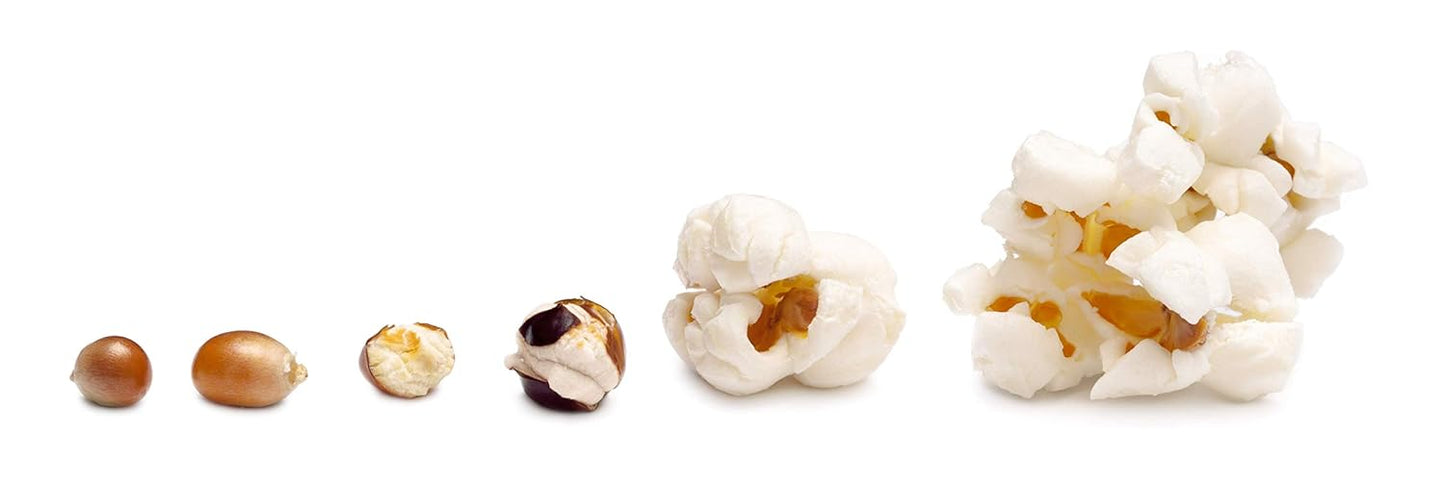 Concession Essentials Flavacol Popcorn Season Salt, 1ct-35oz Carton. 1 Count